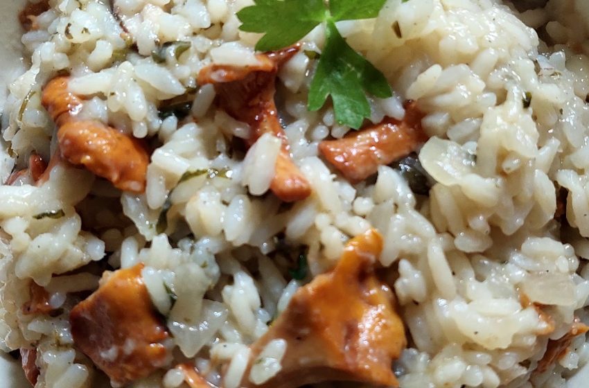 rižota z lisičkami